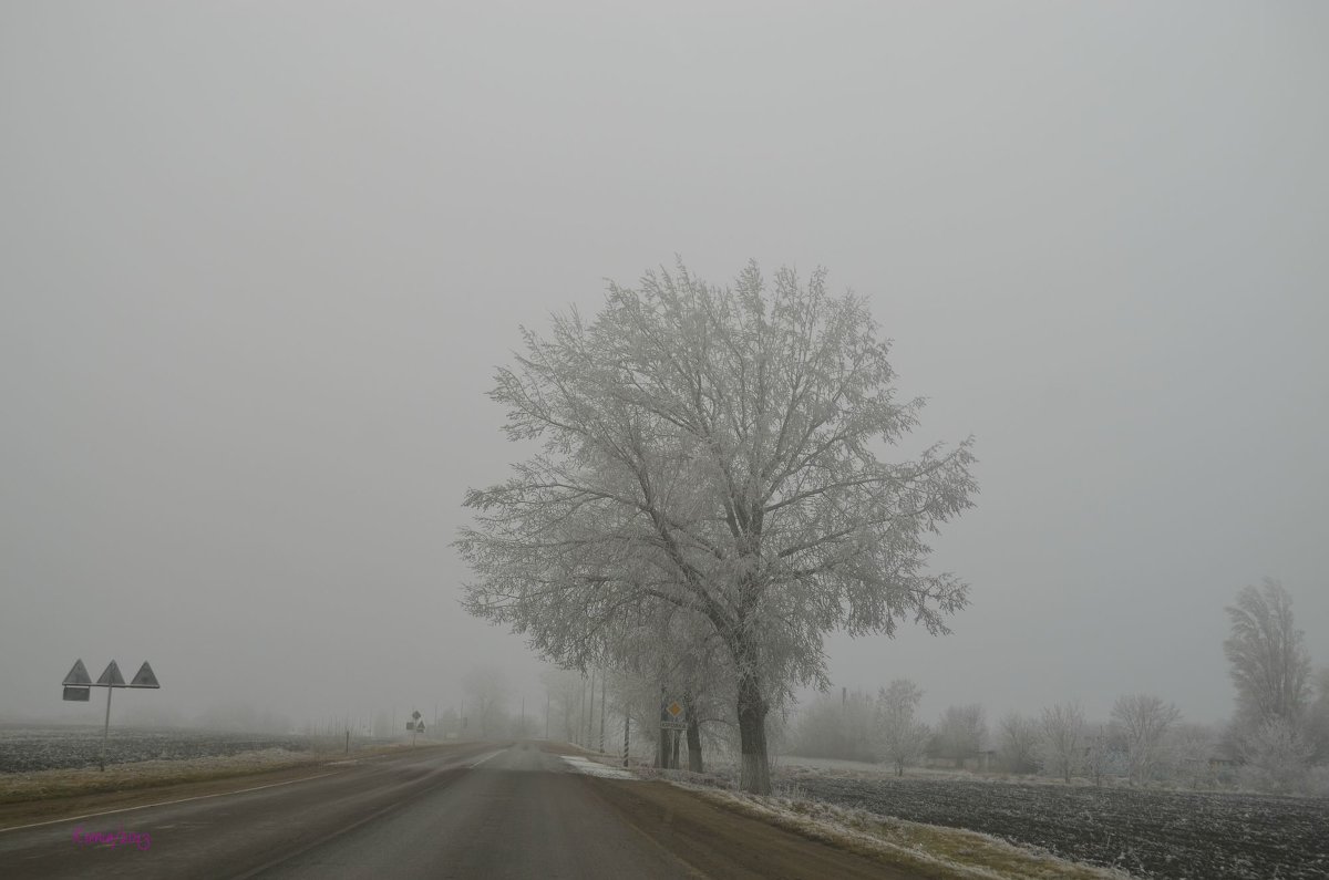 Зима в дороге - Ксения 
