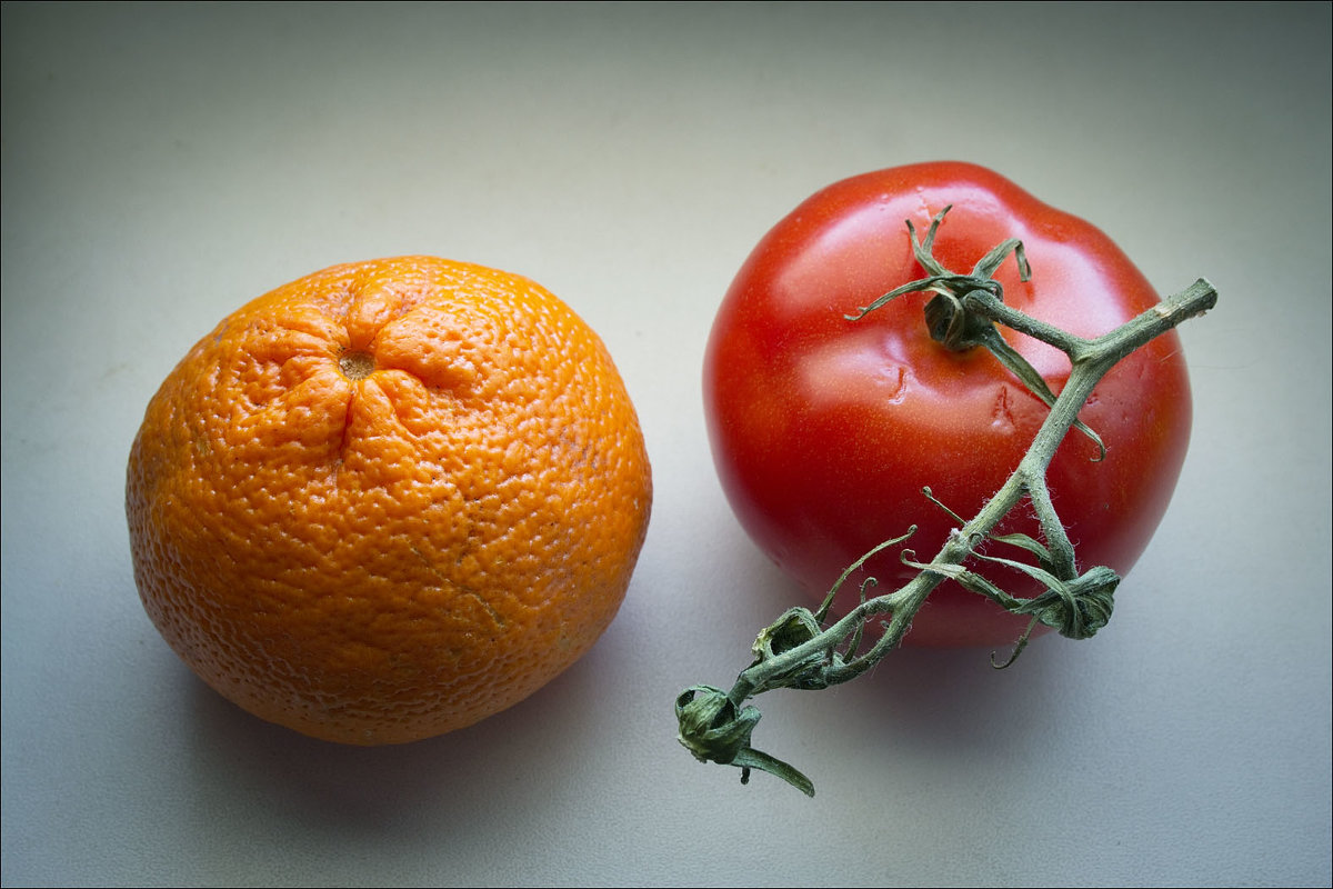 томаты апельсин фото