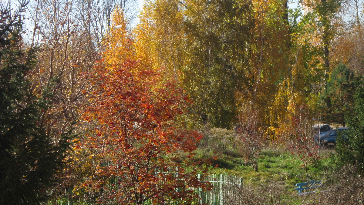 осень - Lubov 