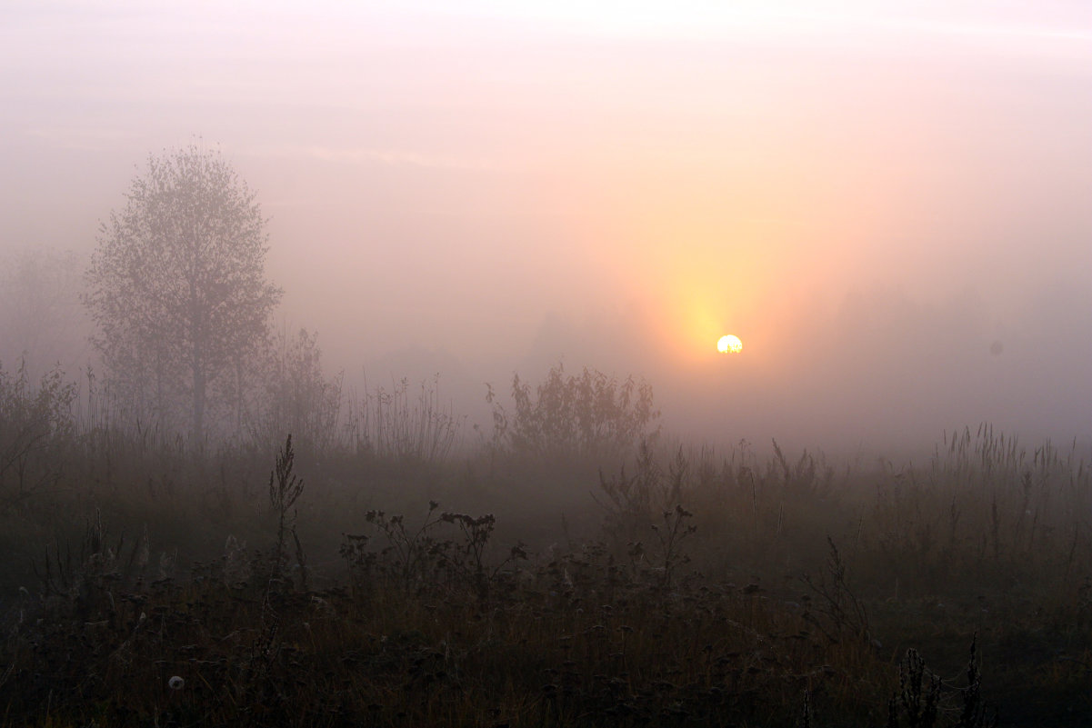 Восход солнца - Алевтина 