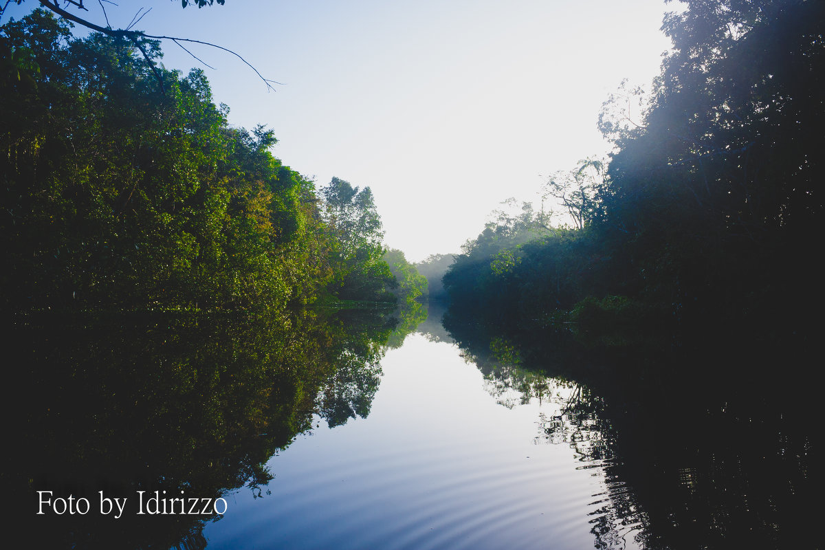 Orinoco river - Дмитрий Иванов