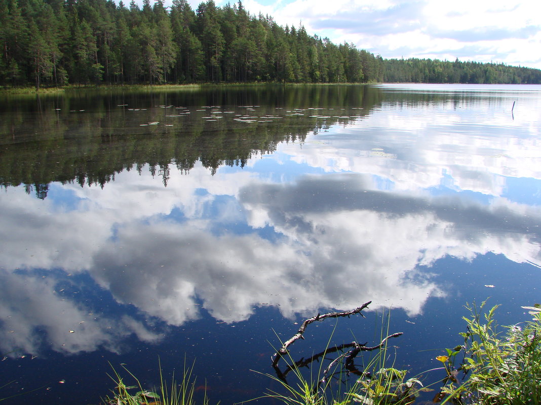 Карельские озера. Отражение - николай -
