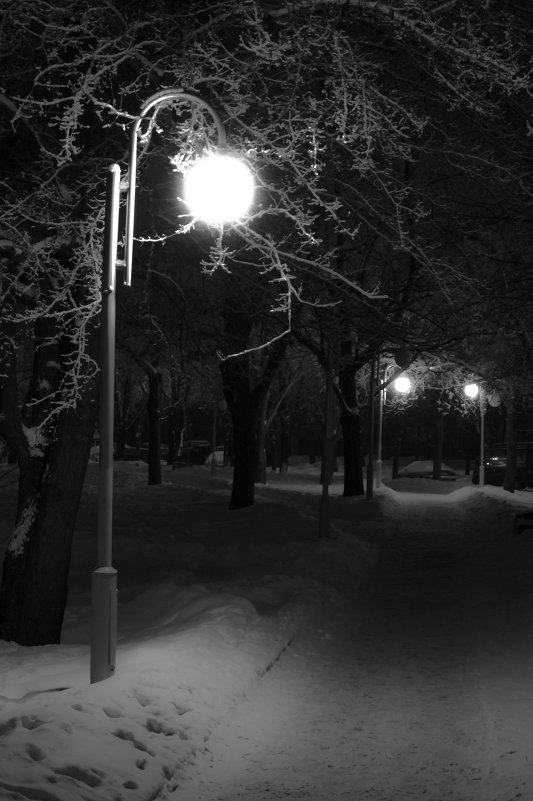 В зимнем парке... - Дмитрий Дмитрий