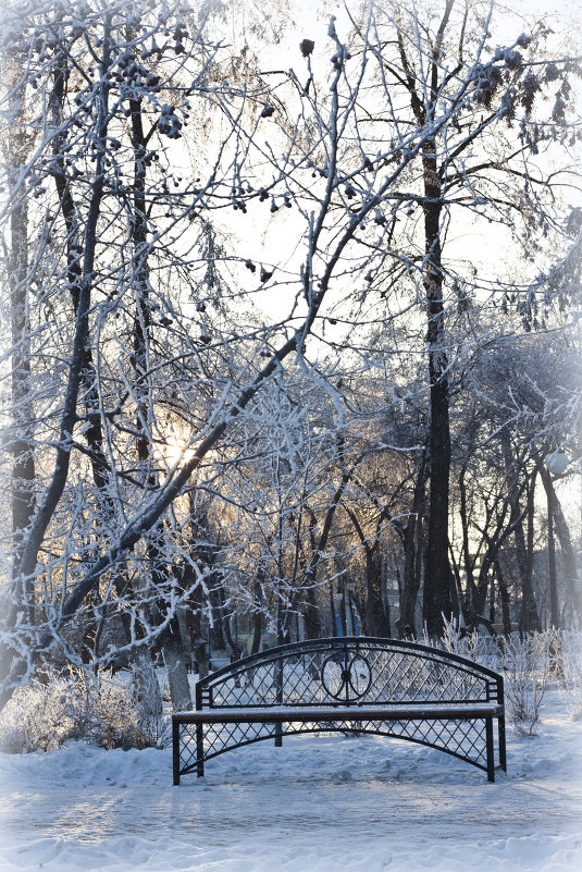 Зима в парке - Анна Павлова