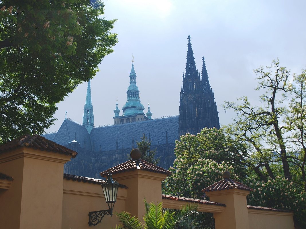Собор Святого Вита, Прага - Юрий Мазоха