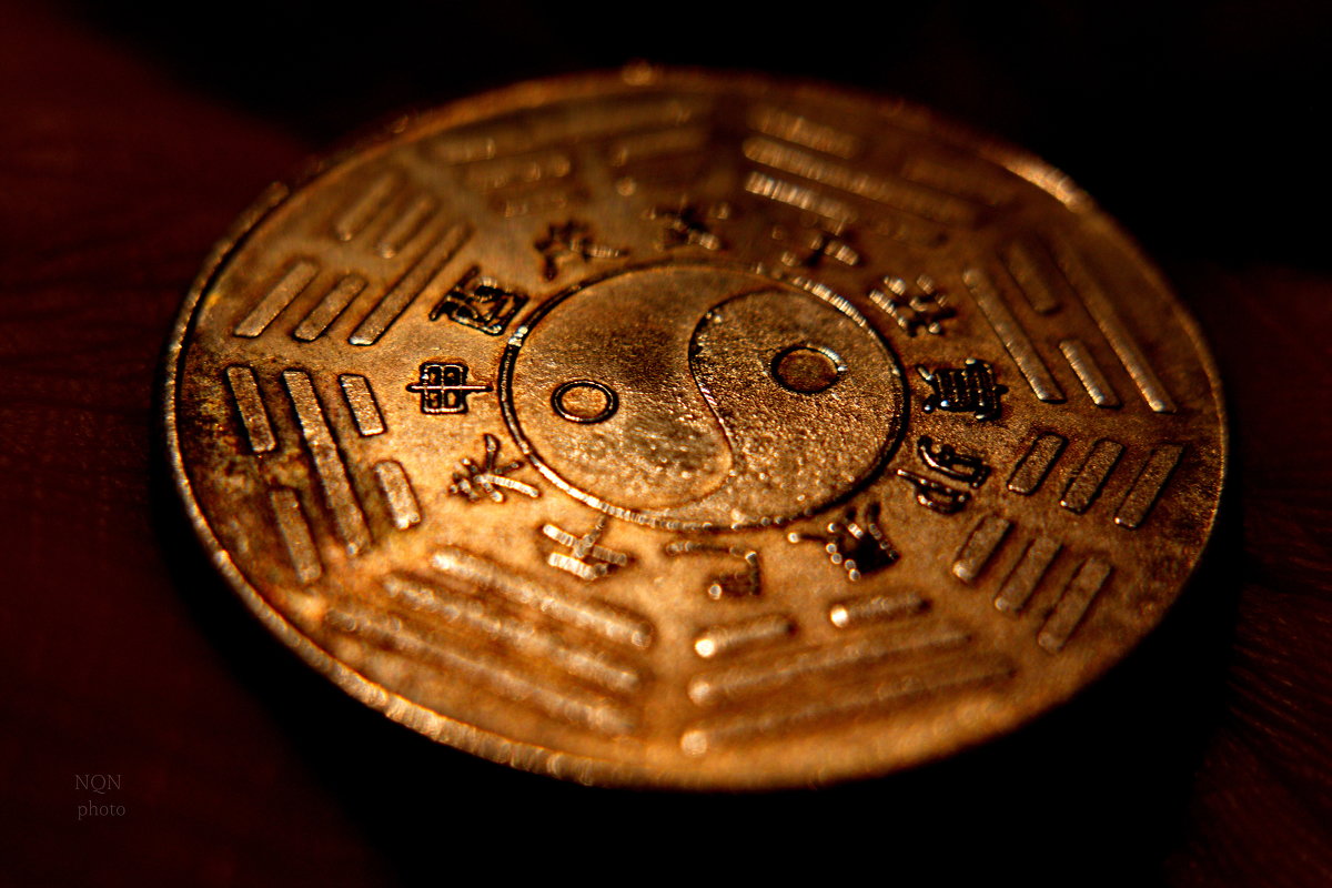 монета 4 - Темновест Болотный