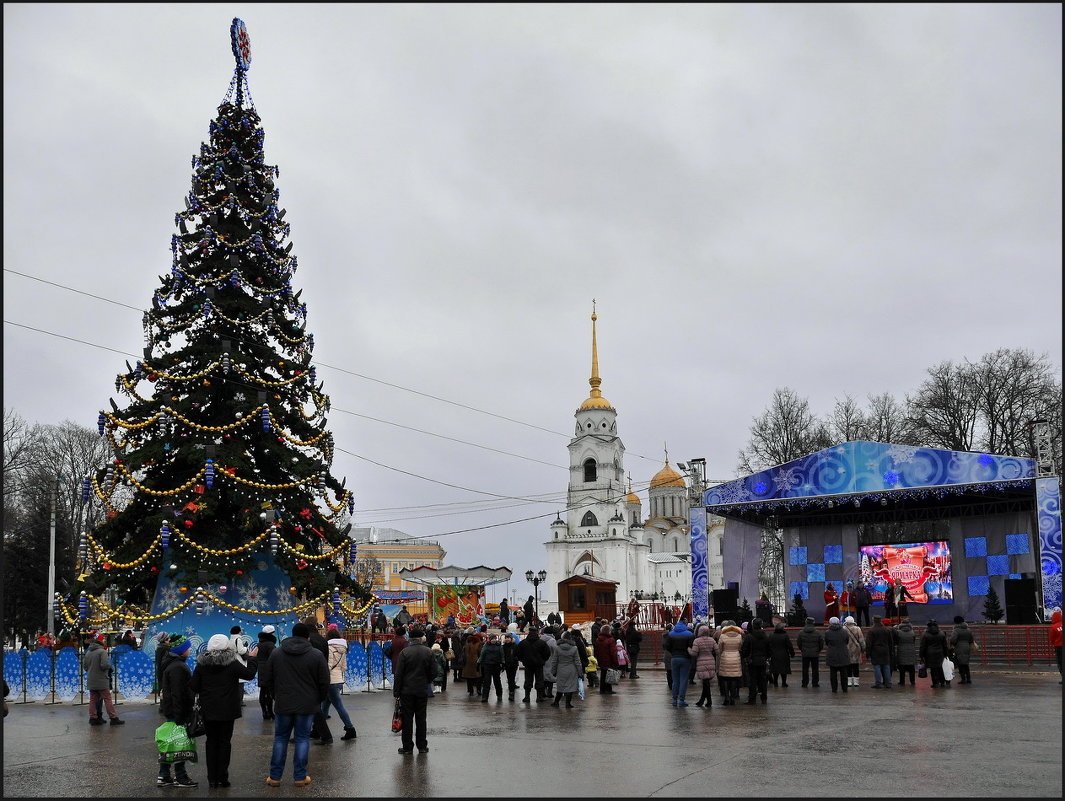 34 - Владимир Петров