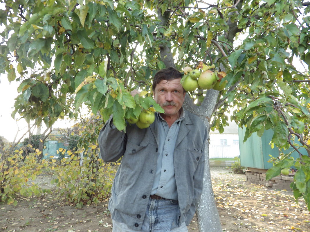 в саду - александр 