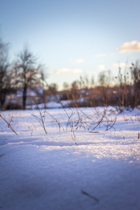Снежок на огороде - Артур Моргун