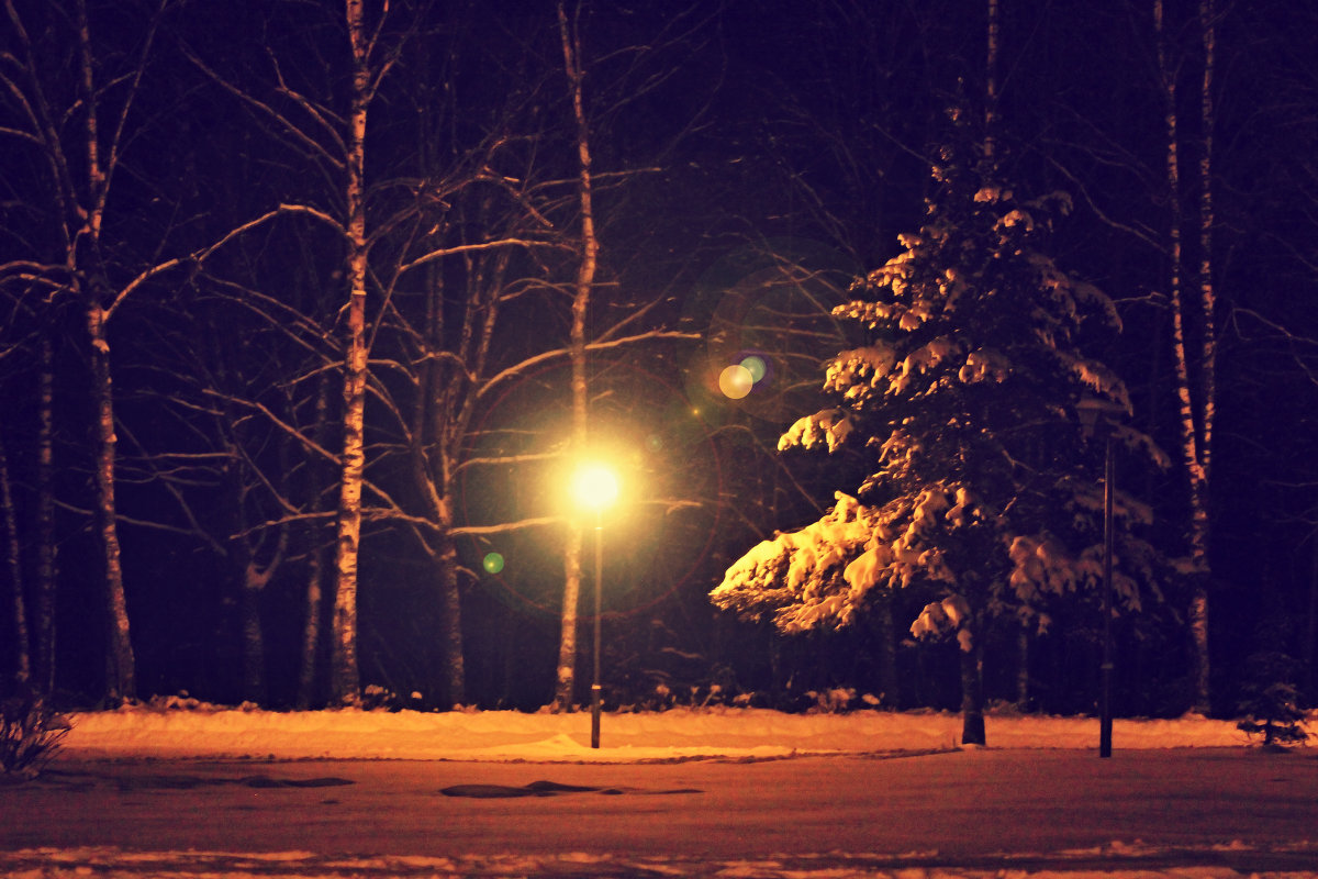зима..улица...фонарь.. - Алёна Горбылёва