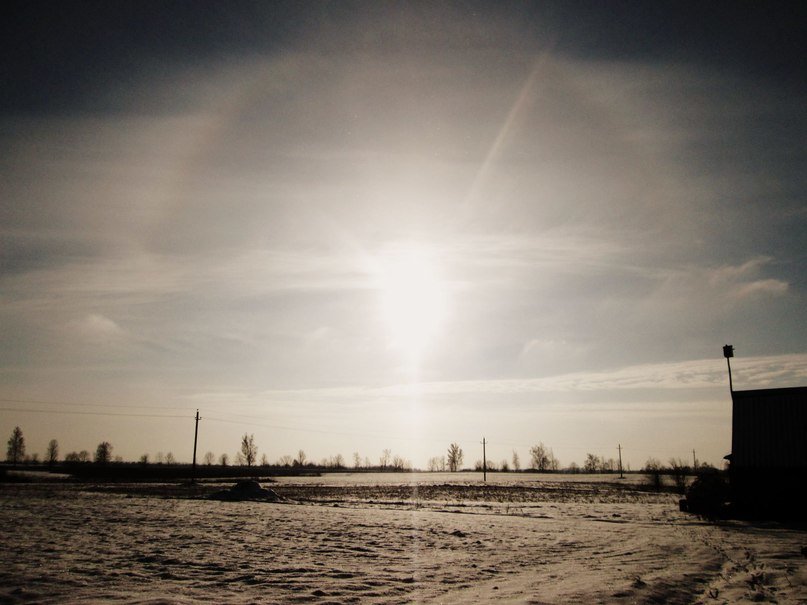 солнце зимой - Елена Протас