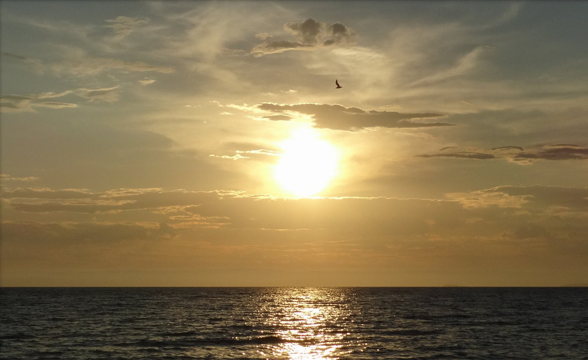 Закат на берегу Японского моря - Лилия Гиндулина