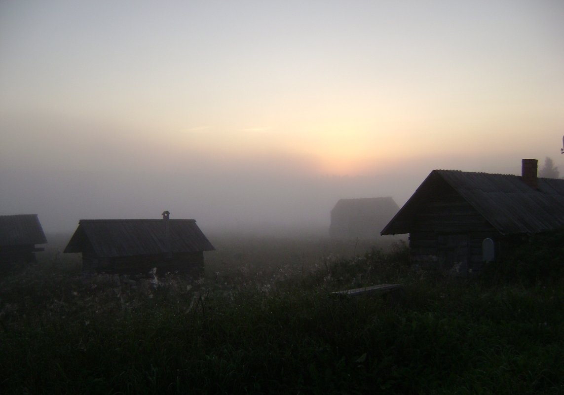 туманное утро - марина ржаницына 