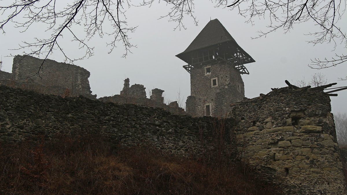 Невицкий замок.Закарпатье - Николай Кононцев