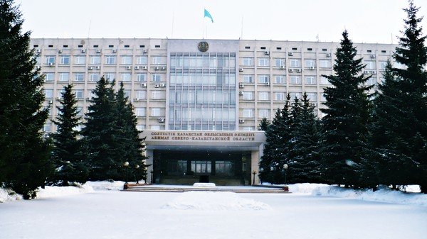 правительство - Елена Ганичева