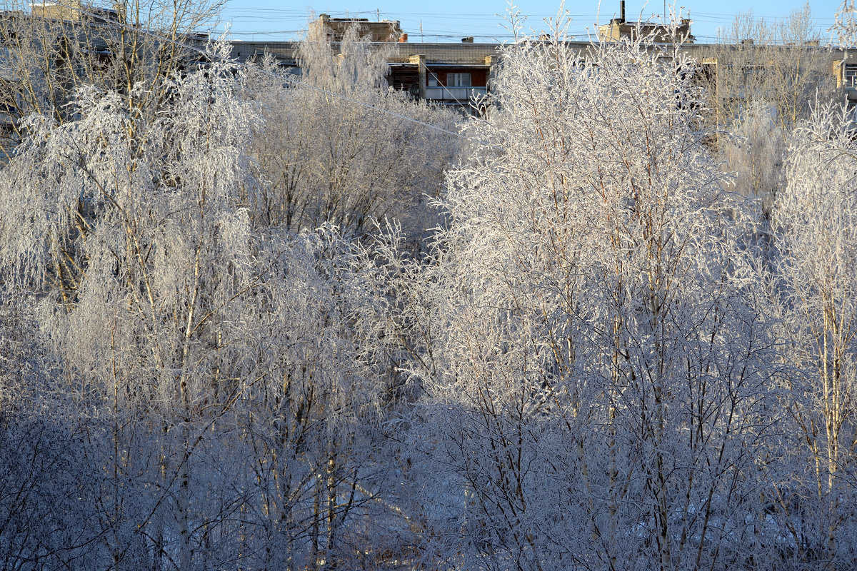 21.01.2014 - Светлана 