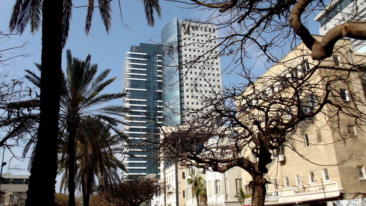 Тель-Авив-белый город - Элла 