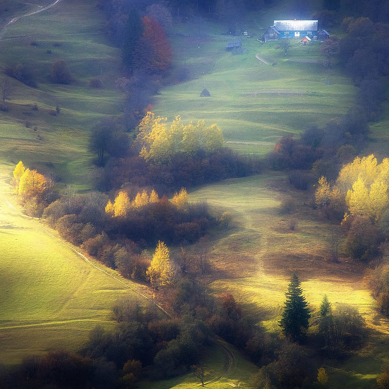 *** - Андрій Кізима