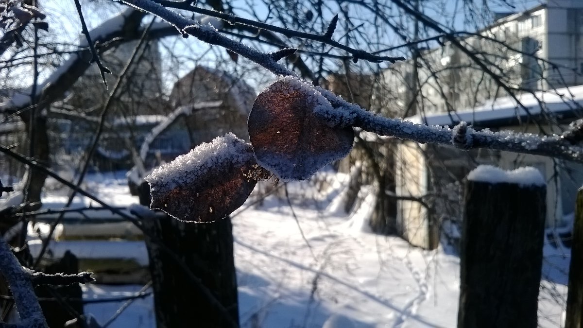 *** - Александр Деменев