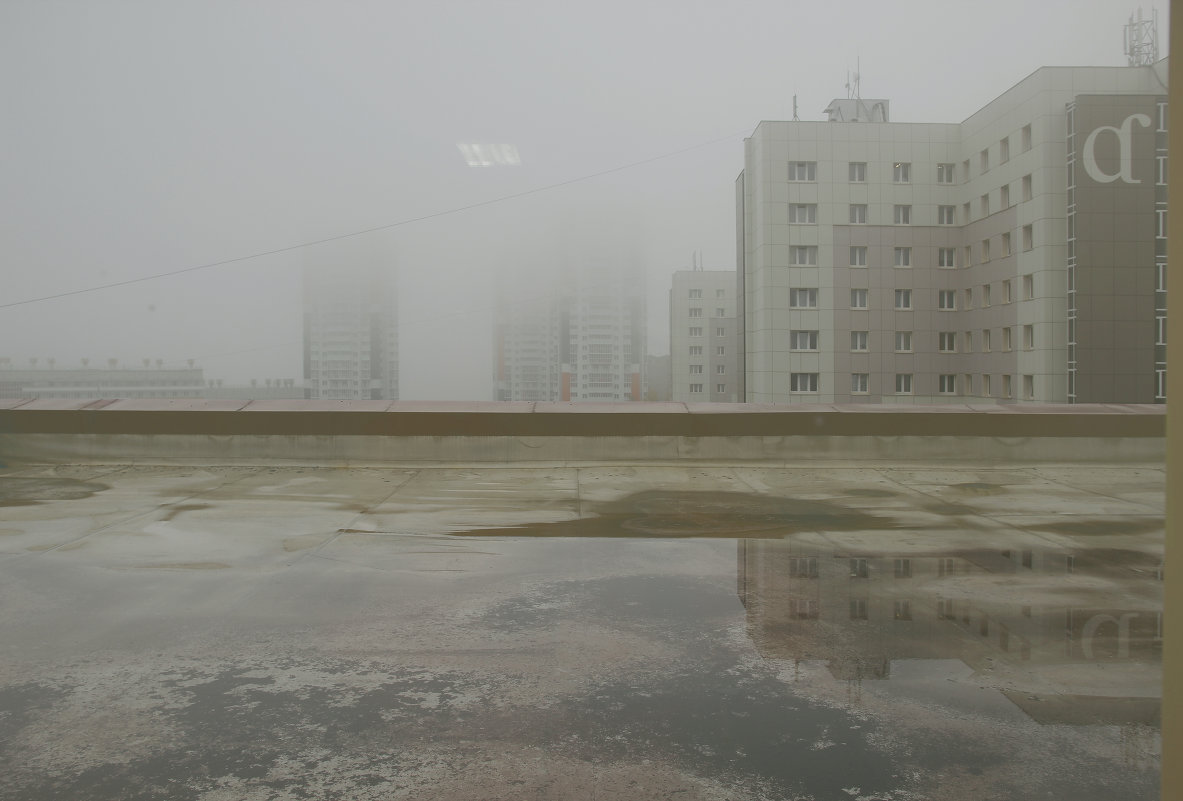 Туман - Алексей Хвастунов