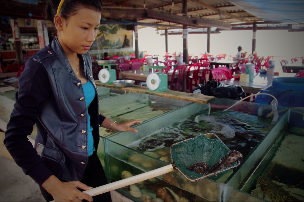 Живое меню в Бокэ,  Vietnam. Mui Ne, January, 2014 - Наташа Попова