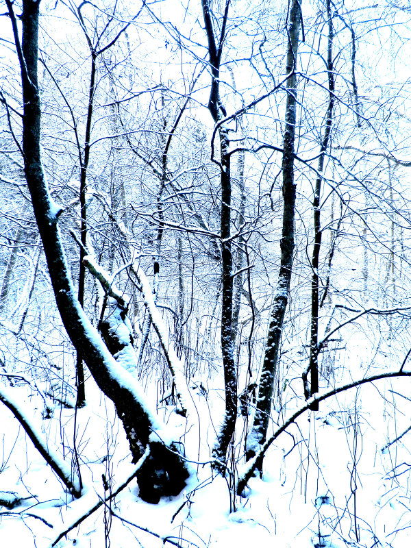 снег - Сергей 