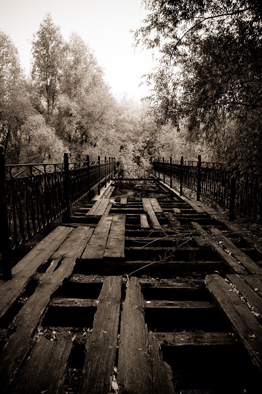 Старый мост - Александр Моисеев