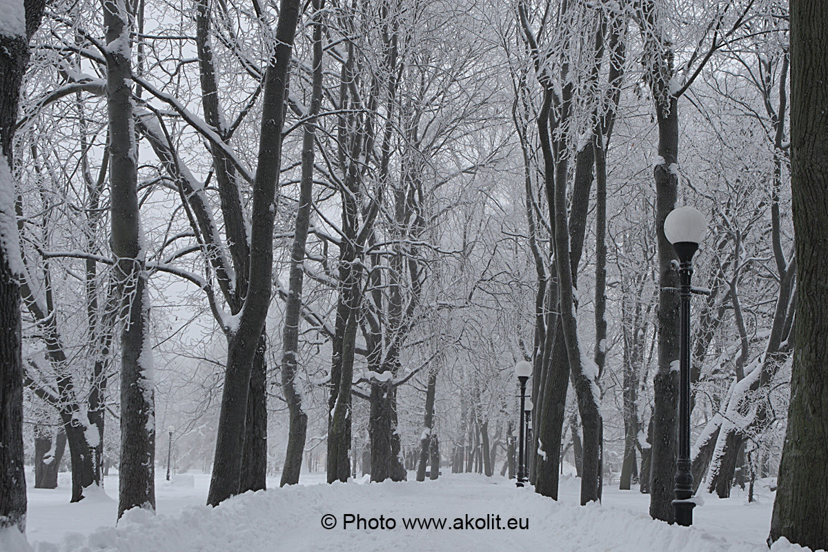 Fotostuudio Akolit, Tallinn - Аркадий  Баранов Arkadi Baranov