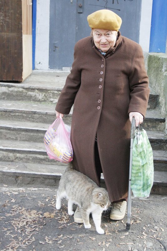 этот суровый бездомный кот - Дарья Полозюк