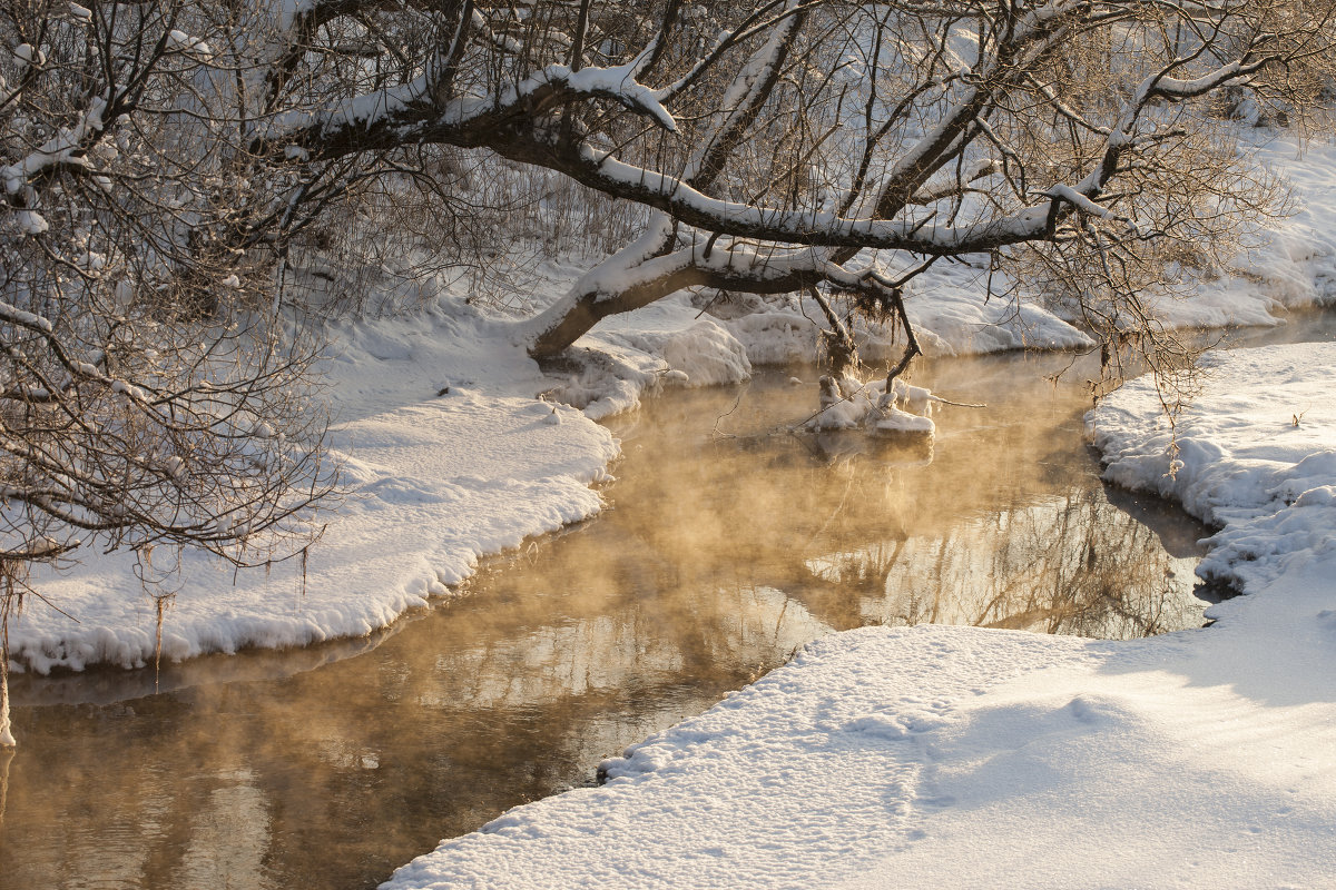 рассвет - Елена Новгородцева