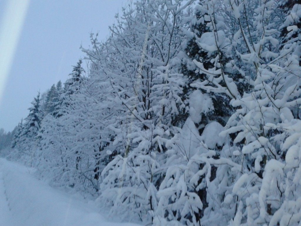 Зима - Лиана 