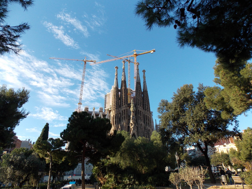 Sagrada familia - Yury Olenin