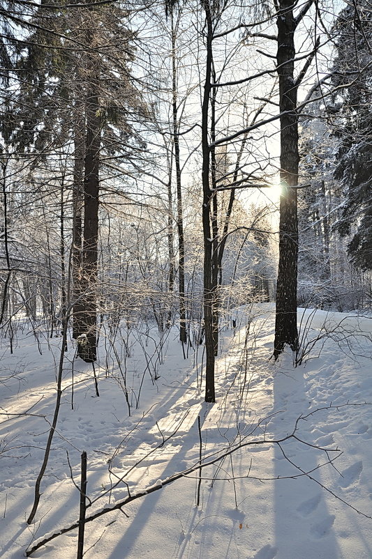 Зима - Алексей Михалев