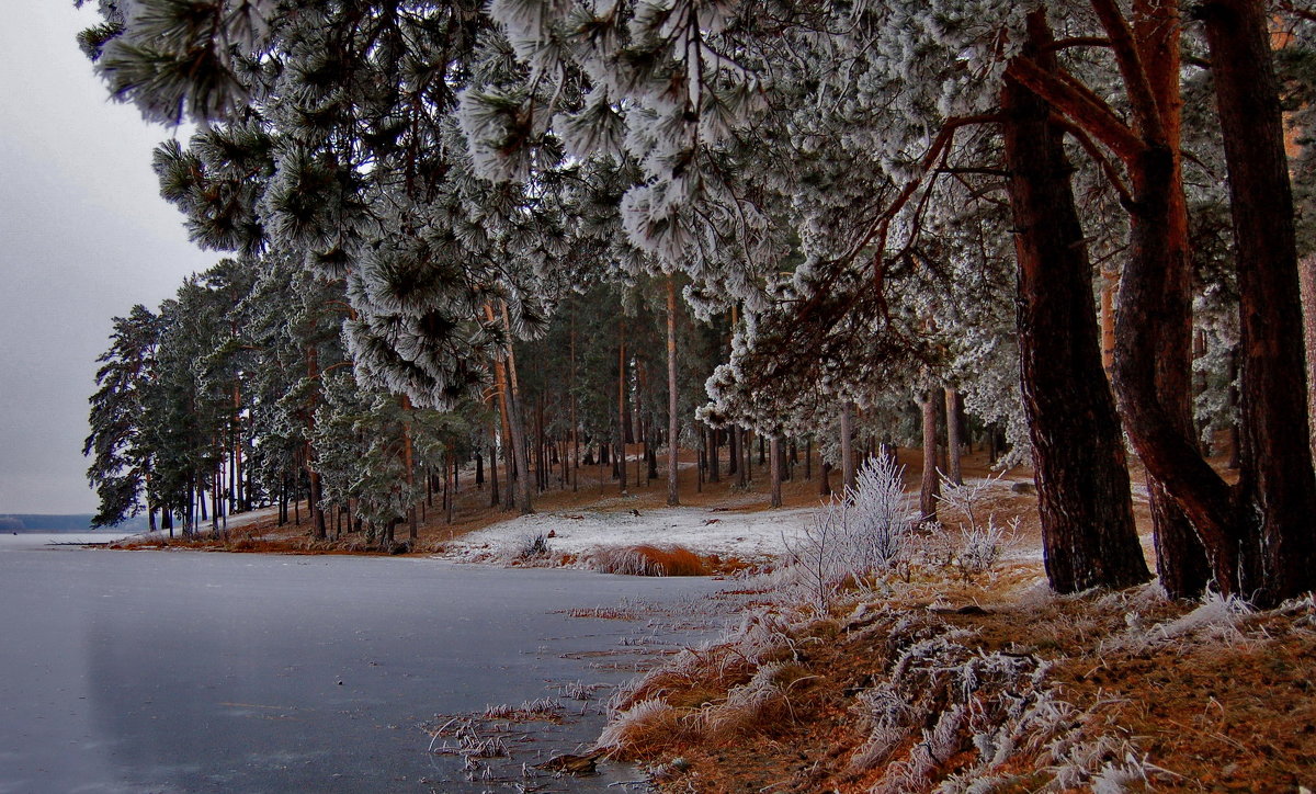 WINTER ON THE LAKE - Dmitry Ozersky