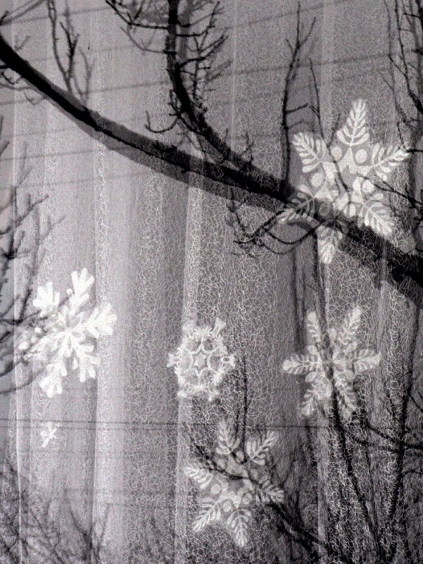 снежинки на окне - Мария Климова