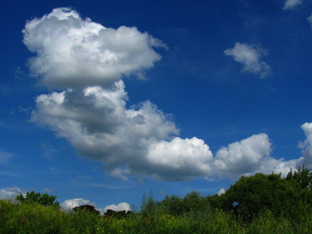 Облака, облака, облака... - Сергей Князь