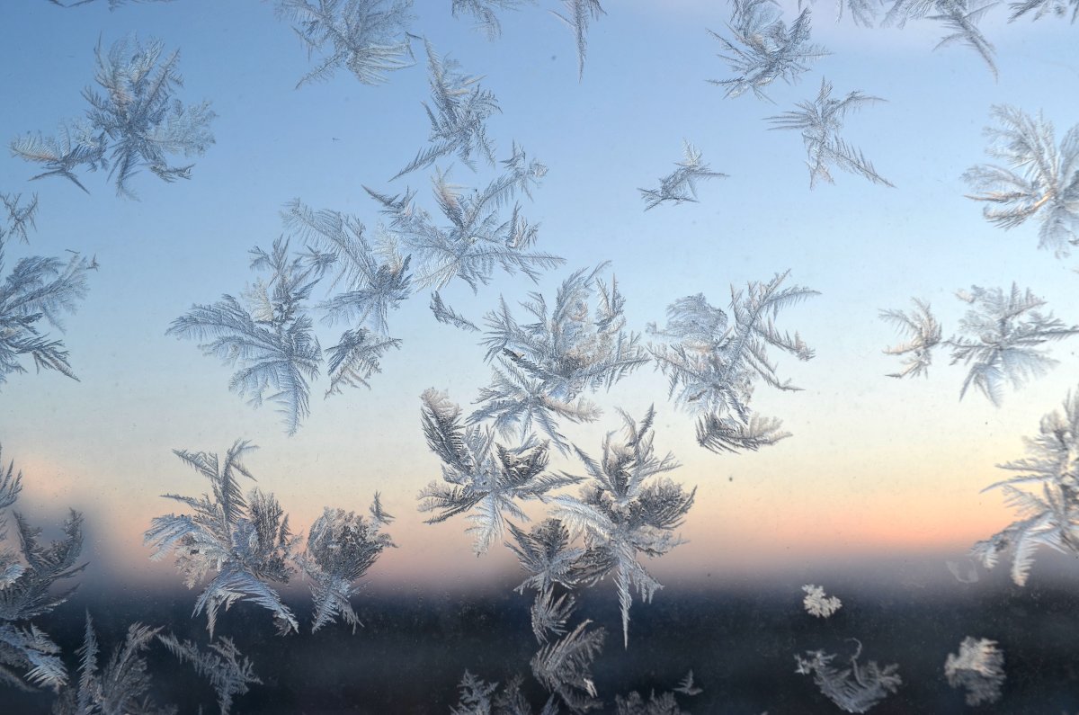 Зима на окне - Сергей Тимоновский