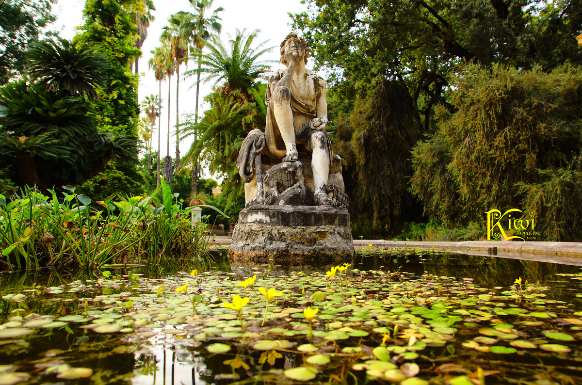 Ботанический сад Палермо - Творческая группа КИВИ