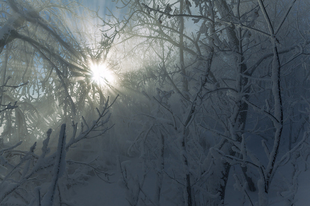 Холодное солнце - Олег Самотохин