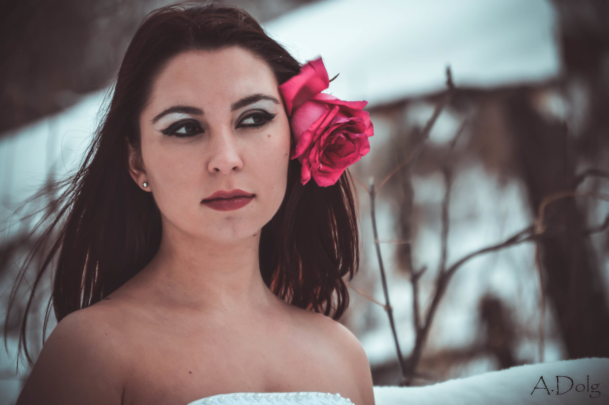 Девушка, роза, снег - Анна Долгова