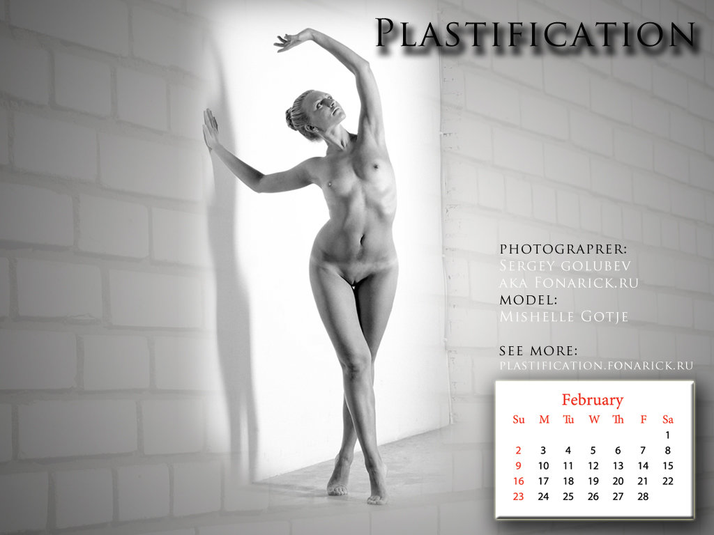 plastification February - Сергей Голубев