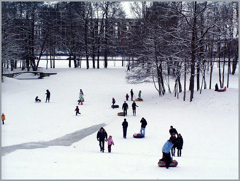 Павловск - vadim 