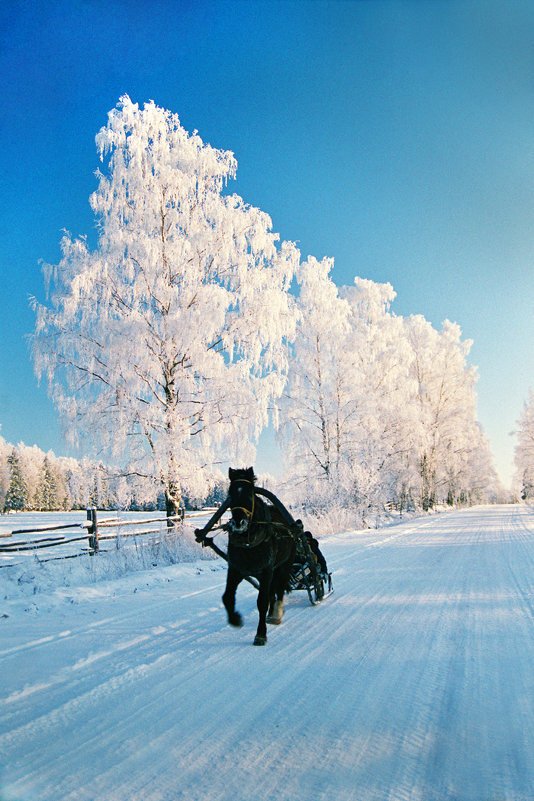 Зимняя дорога - Валерий Талашов