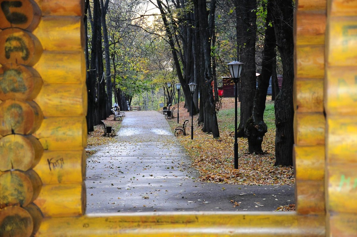 Осенний парк - Андрей Куприянов