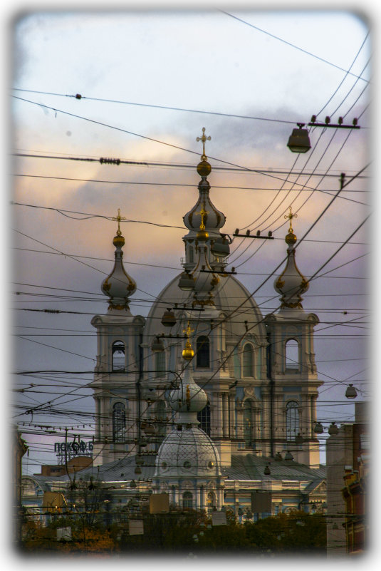 Смольный собор (в городской паутине) - Сергей Глотов