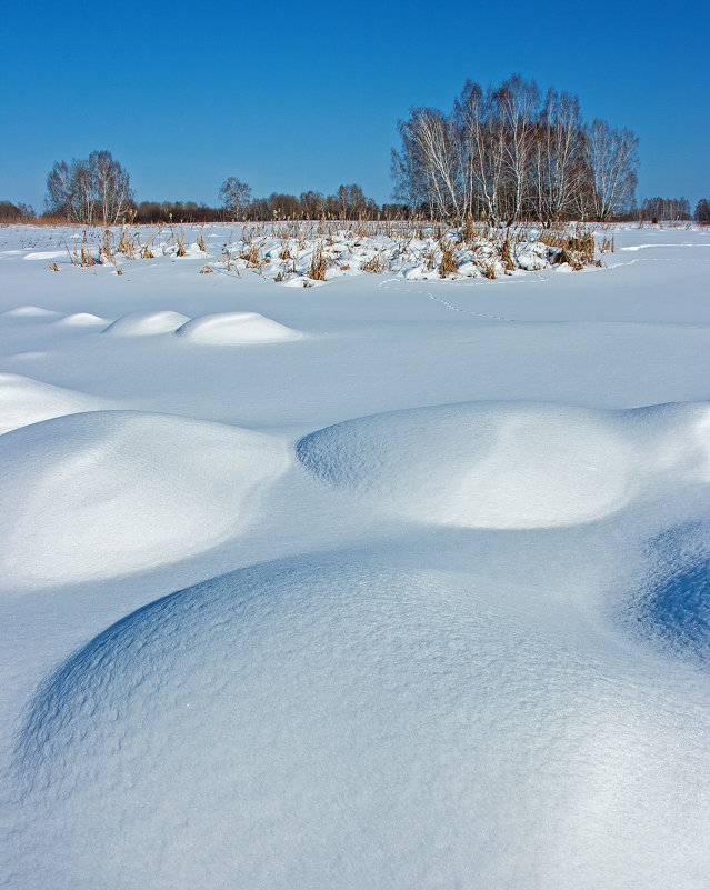 Кочки - Николай Андреев