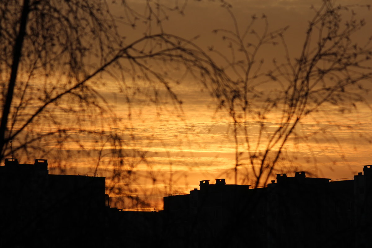 Закат из моего окна - Наталья Кочегарова