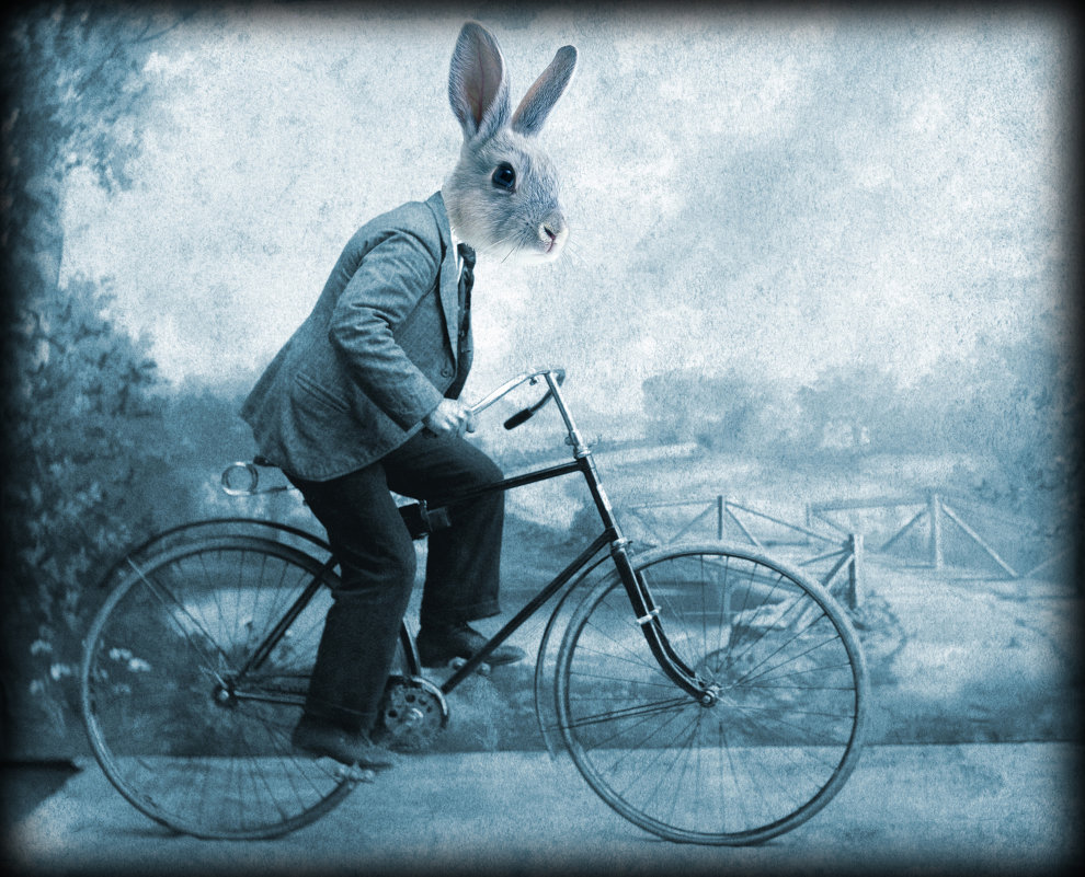 Rabbitbike - Наталья Голдина