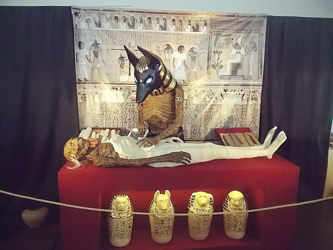 выставка Египетские мумии из глубины веков - Сергей Кочнев