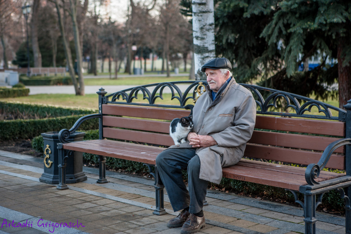 Старик и кот - Аркадий Григораш